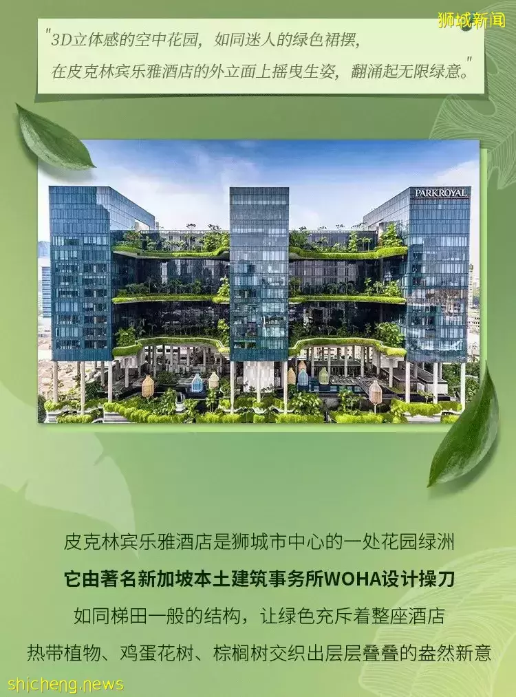 寻访狮城酒店，步入如梦般的绿野仙踪