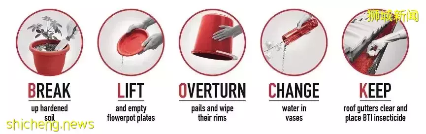 新加坡又爆发一疫情!部长说处于紧急阶段!孕妇染病进了ICU,直呼太可怕