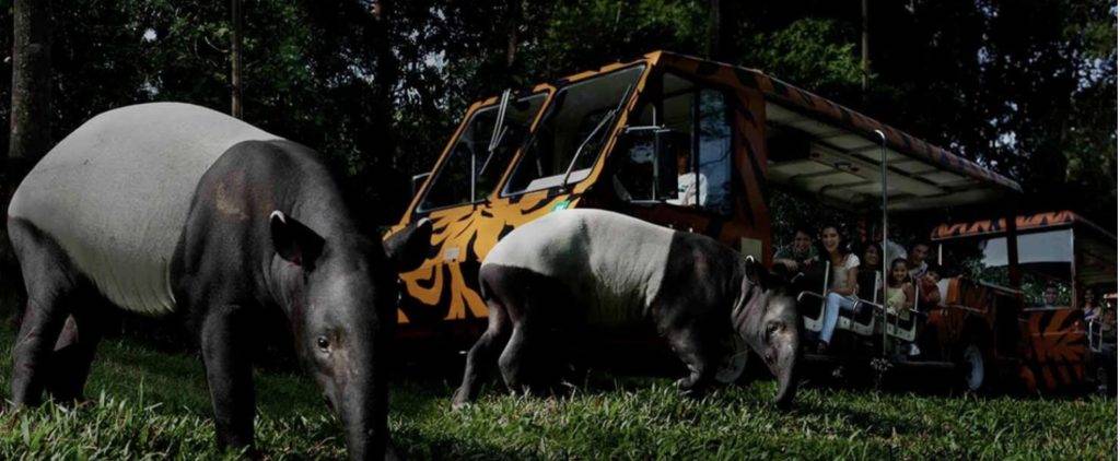 3月School Holiday攻略!最適合家庭的活動優惠大盤點