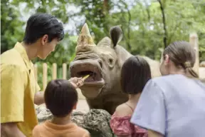 犀牛、大象、長頸鹿……在新加坡動物園都可以0距離接觸啦