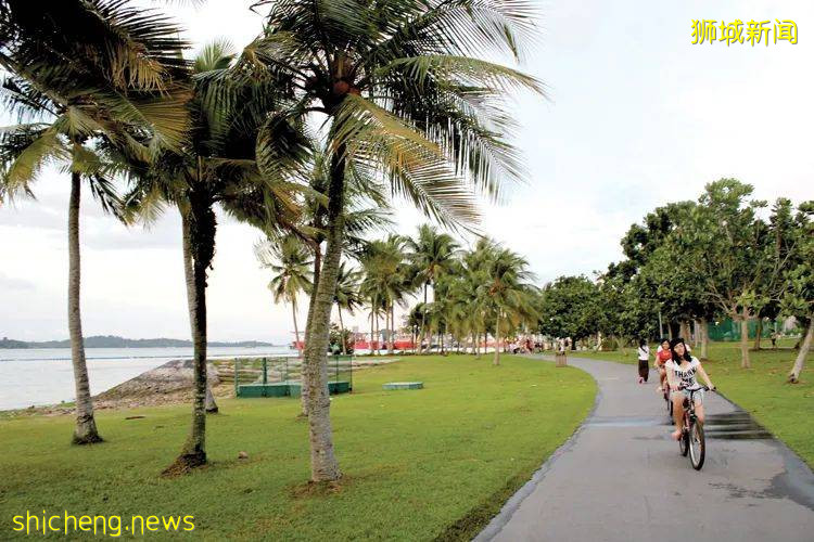 騎行必看！新加坡全島自行車租賃指南，低至$5/天