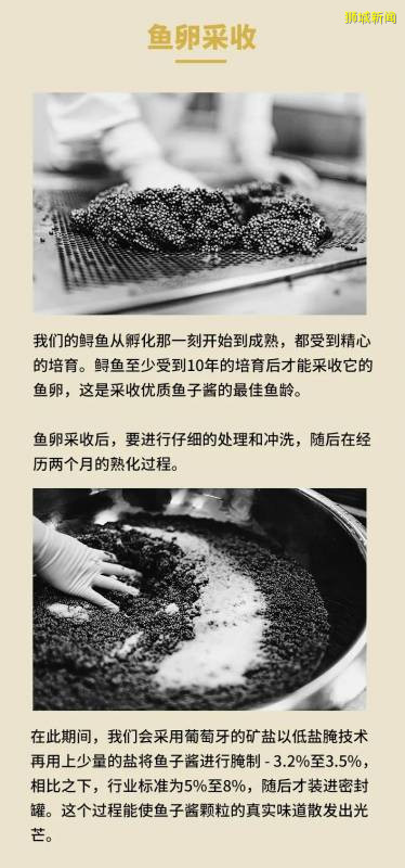 舌尖上的“黑珍珠”，到底如何誘惑我們的味蕾