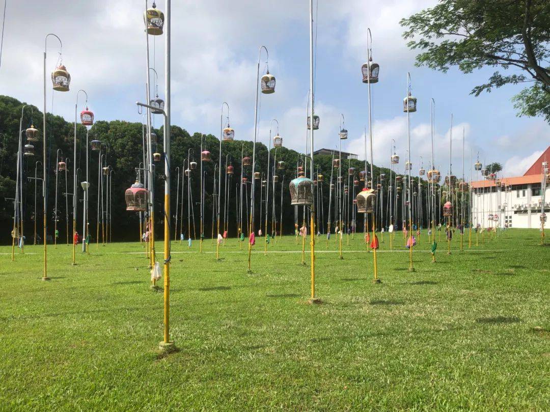 新加坡遛娃新地點~你絕對沒聽過的免費“動物音樂會”，孩子一定喜歡