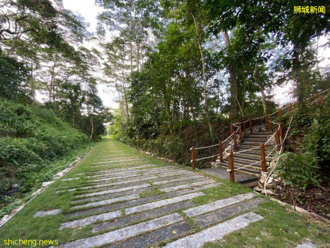 揭秘新加坡最新最热网红打卡地