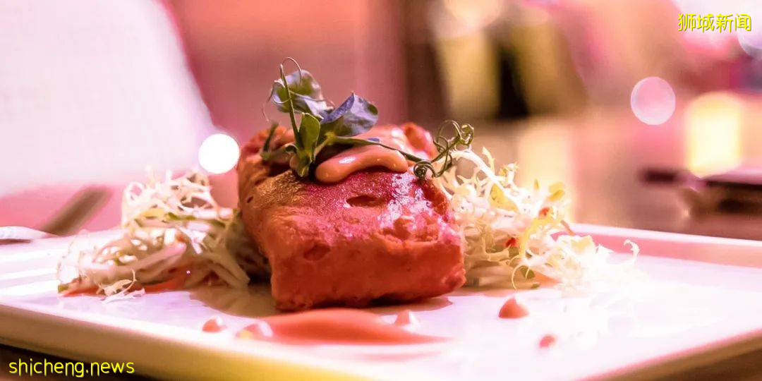 遊獅城 上天入海,多的是你不知道的新奇體驗