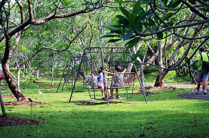 新加坡 吸引人们来,靠的不仅是颜值,还有才华