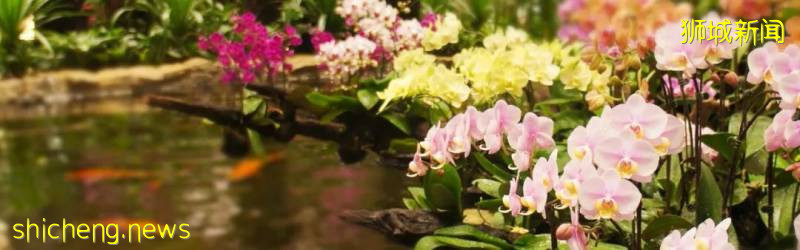 “花園裏的機場”都有哪些花園呢!