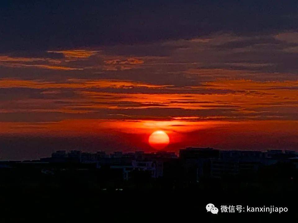 新加坡清晨出現粉紫色“神仙”天空!大波美圖驚豔全島