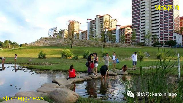 新加坡6个公园关闭水上娱乐设施至本月底
