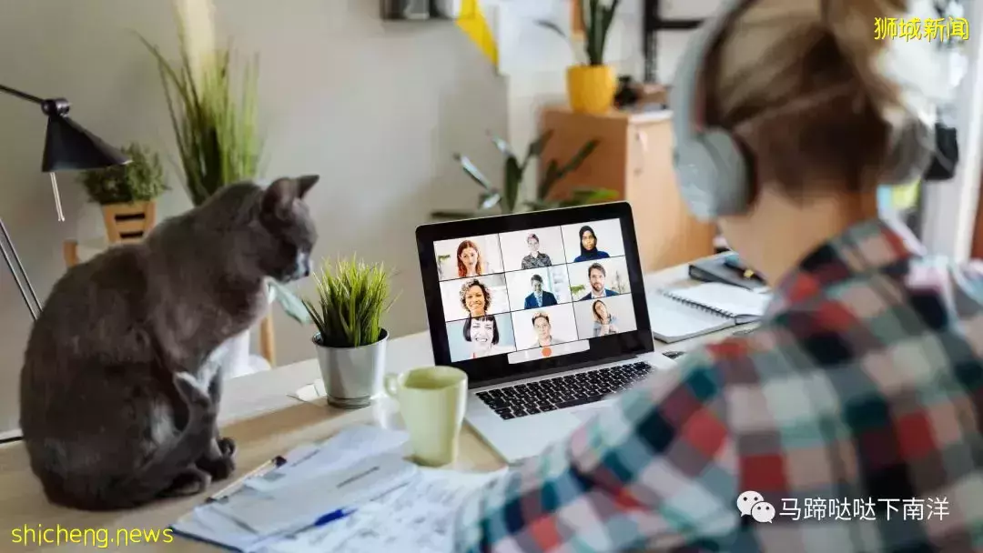 國內公司提出“3+2”混合辦公刷屏！別羨慕，新加坡早就有了