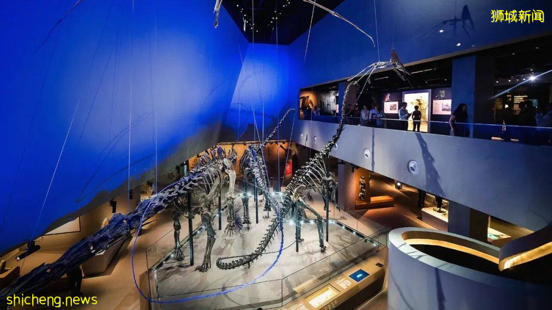 新加坡國慶節折扣來啦!旅行景點折扣和餐飲代金券總有一款適合你