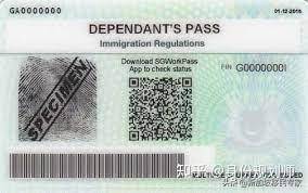 新加坡家属准证Dependant’s Pass 重新开放申请LOC 