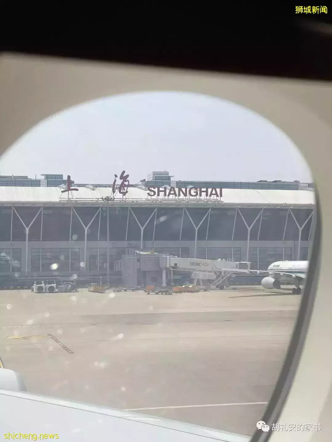 全過程記錄!4月4日從新加坡飛往封城中的上海,入境隔離多圖