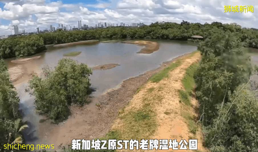 疫情不再宅家!新加坡10个超美户外蓄水池走起~人少风景好