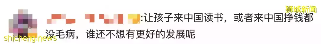 全網熱議！吳尊送娃去中國上學，張柏芝離開坡回上海定居！新加坡不香了