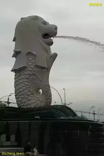 新加坡 放慢腳步，體驗獅城百態