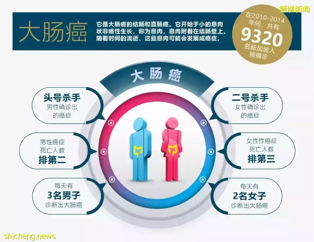 小毛病大問題!在新加坡,這些腸胃小毛病再不重視就太遲了