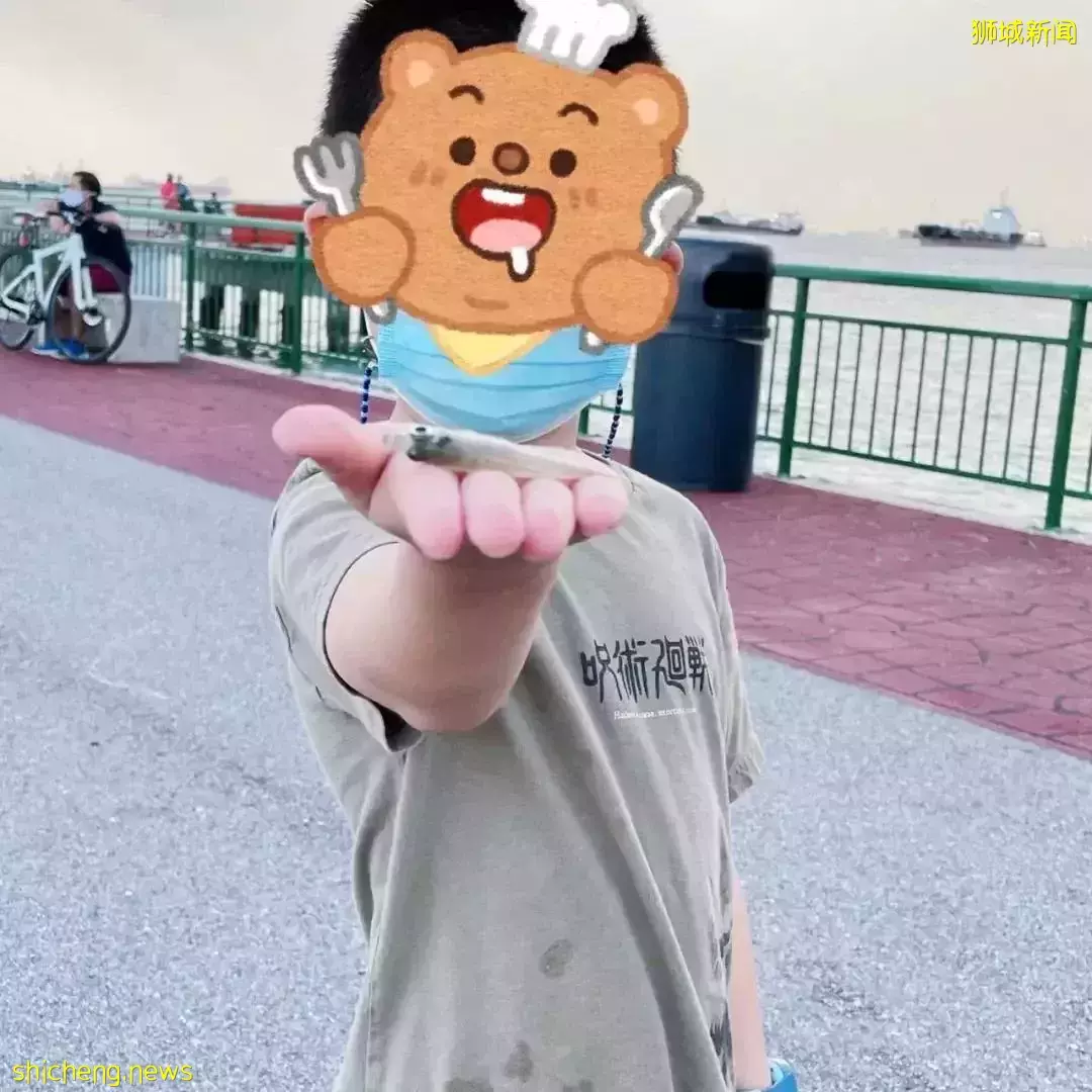 新加坡这个地方好神奇,新手钓鱼也能满载而归