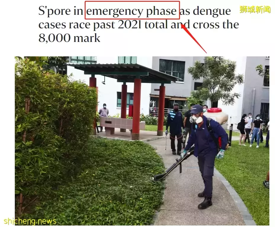 新加坡又爆发一疫情！部长说处于紧急阶段！孕妇染病进了ICU，直呼太可怕