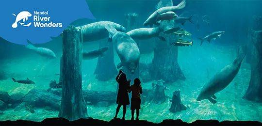 新加坡野生动物保育集团改名为“万态保育集团”,河川生态园和飞禽公园也有了新名字