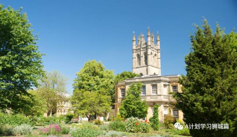 泰晤士THE2021世界大学学科排名：医学