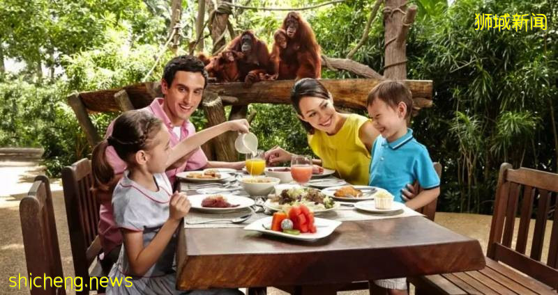 學校假期來了~李顯龍總理親自爲新加坡旅遊打Call，號召國人重新探索新加坡