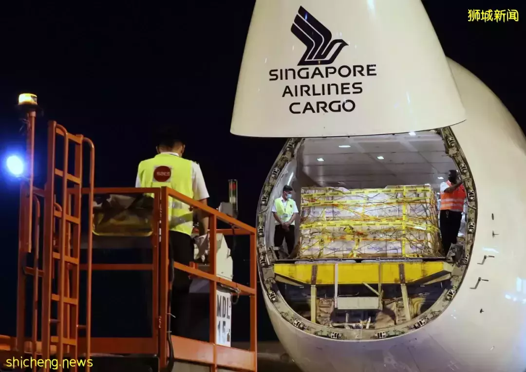 新加坡病例超100万,躺平后为什么没有崩溃?原来因为这5点