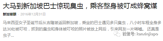 新加坡国民电影院座位藏“热带吸血虫”,多人身上起神秘红疹