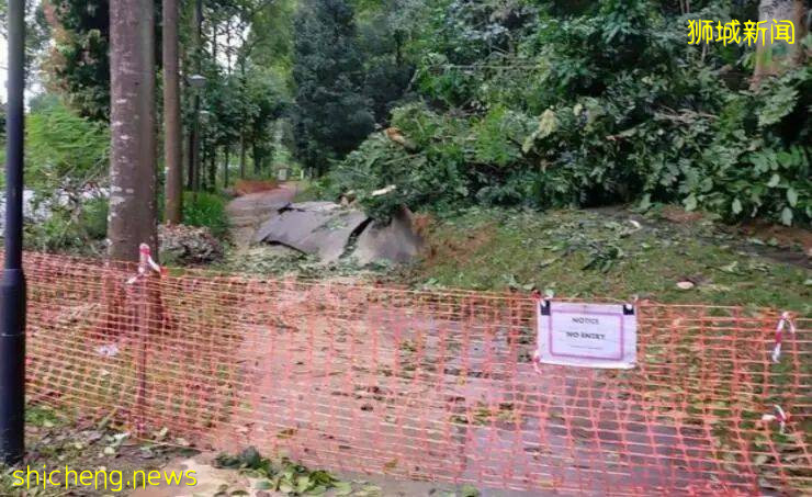 太嚇人!新加坡小桂林道路爆裂!疫情下該去哪裏散心