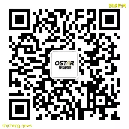 新加坡公司注册取名需要注意什么，你知道吗