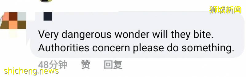 解封首個周末奇葩事件!溫泉輪流泡腳10分鍾、野豬野雞也瘋狂!
