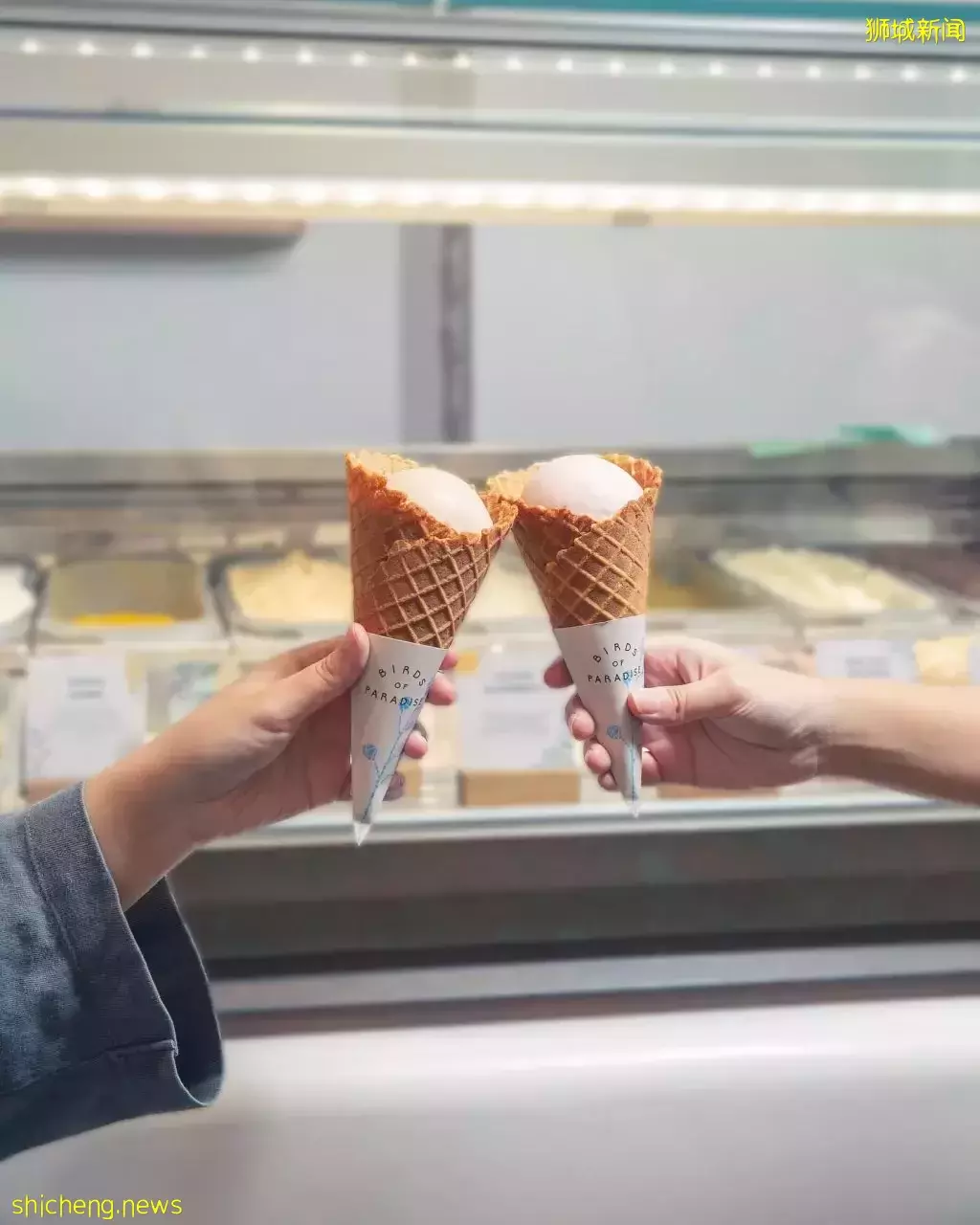 Birds of Paradise新店@Bugis，極簡風裝修、浮空樹，真的太有創意啦