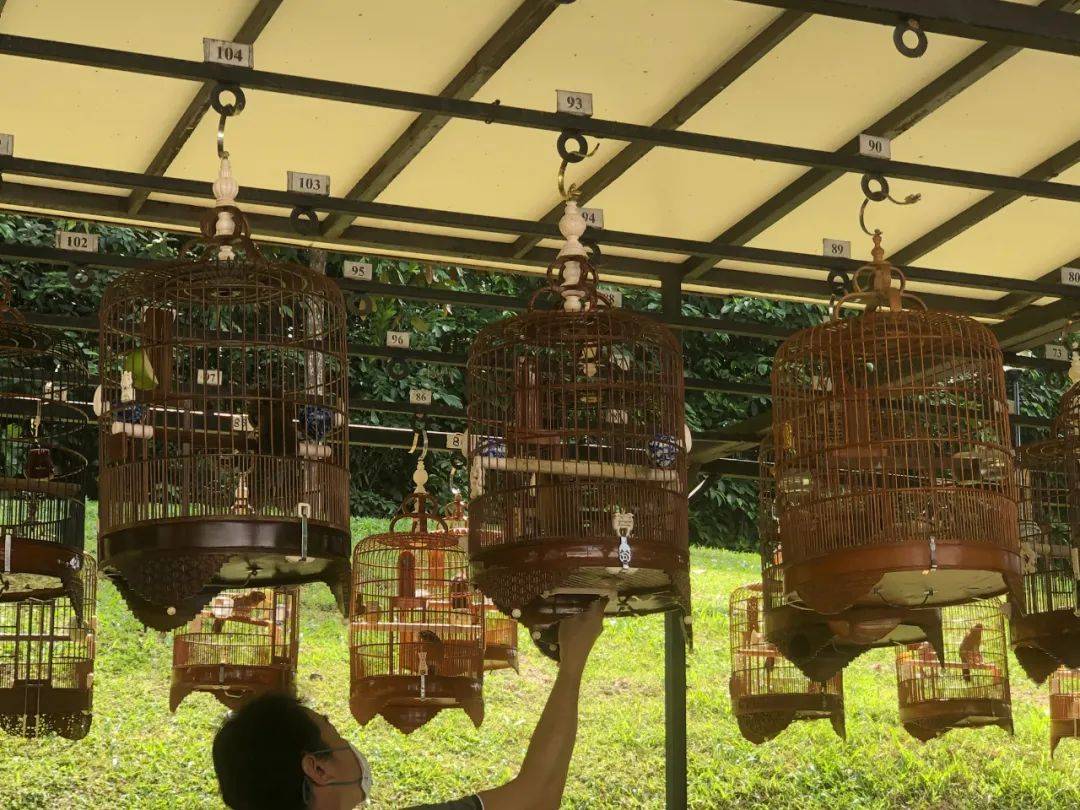 新加坡遛娃新地點~你絕對沒聽過的免費“動物音樂會”，孩子一定喜歡