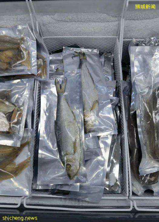 新加坡再次解封後，這家中國超市火了！80多種海鮮$2起！小龍蝦辣條包點東北大米扛回家