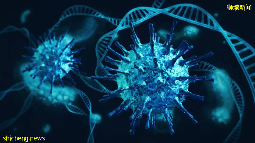 首公布!打完疫苗9个月后失效!新加坡正在评估Novavax