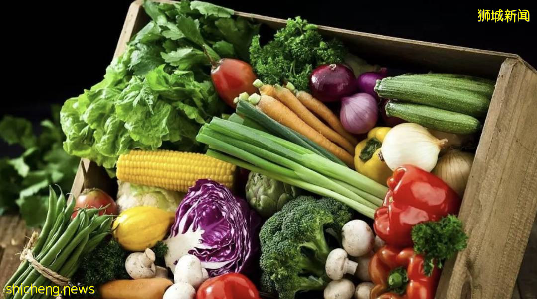 新加坡 后疫情时代移民的首选之地