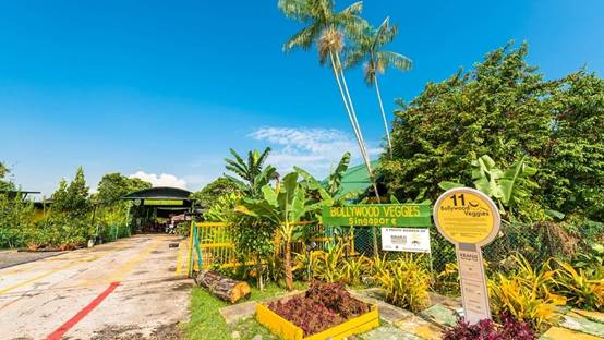 新加坡有这么多适合遛娃的农场,你竟然还不知道