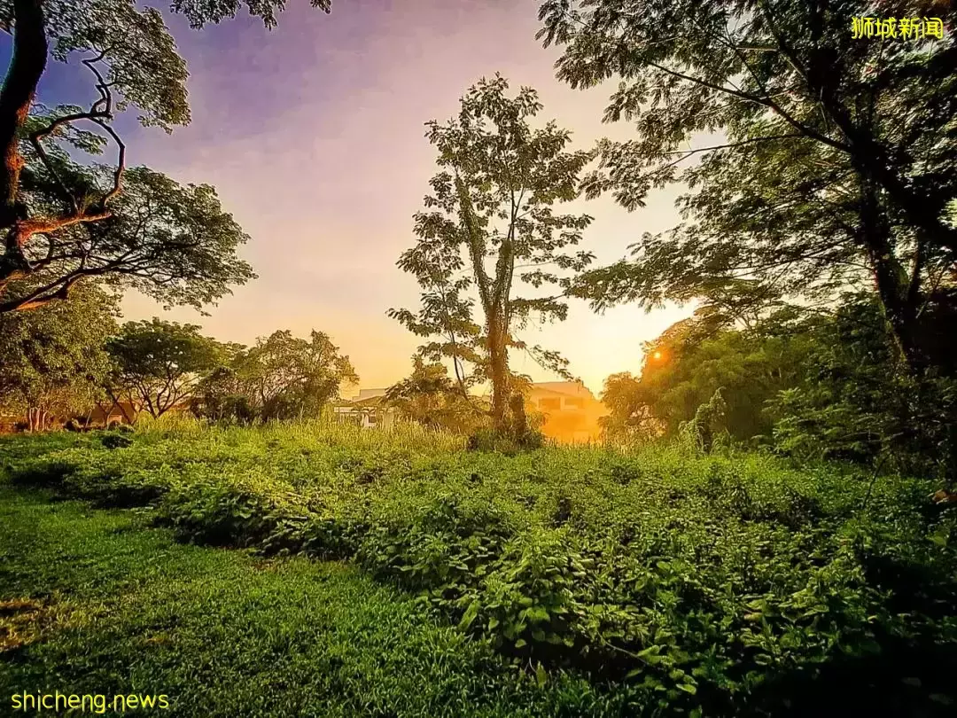朋友圈刷屏！新加坡天空奇景再現，一波美圖襲來！太美了