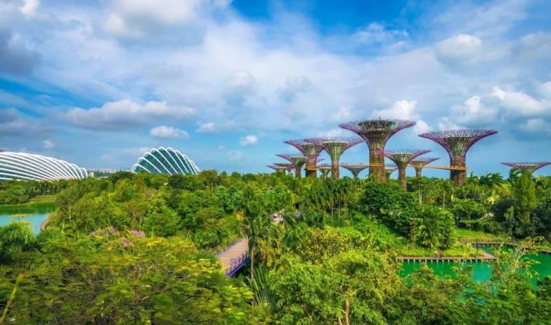 新加坡這個世界第一,不得不服