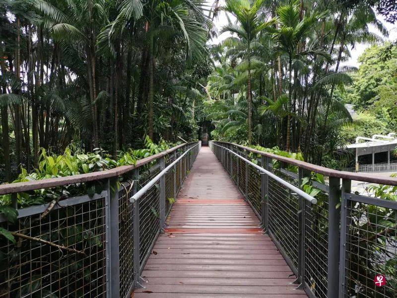 到圣淘沙趴趴走,来个轻松愉快的徒步慢游