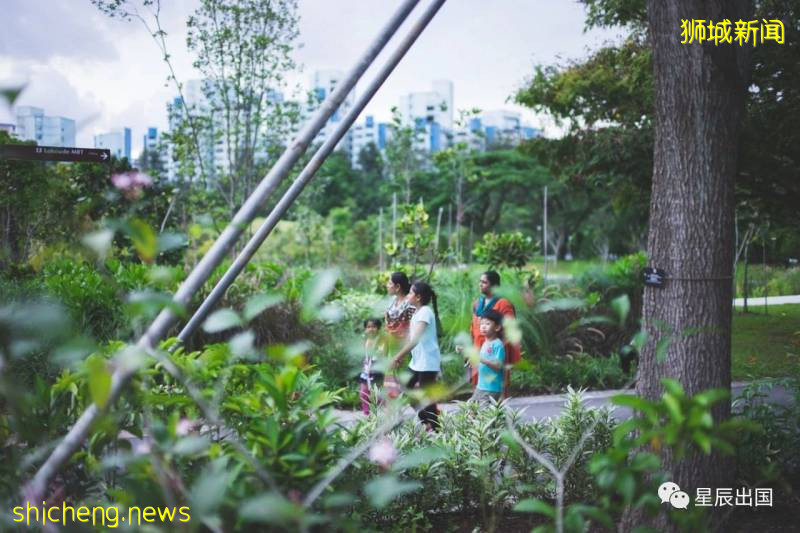 移民爲什麽要選擇新加坡？這些優勢你應該要知道