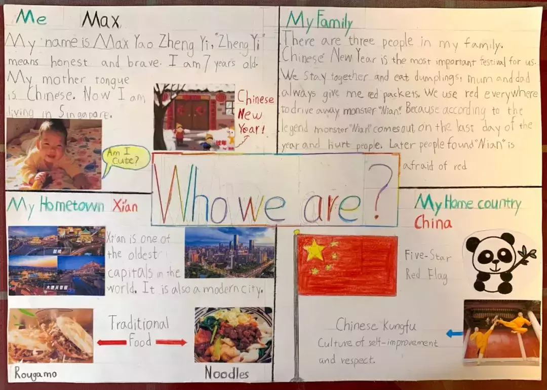 “我为什么放弃新加坡政府学校考试,选择了国际学校!”