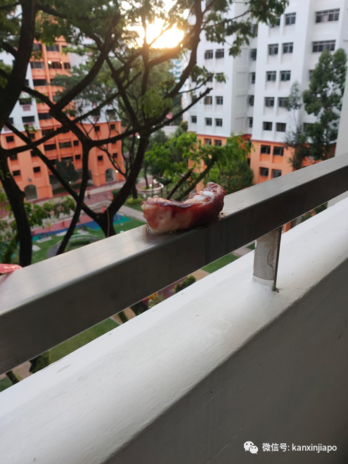 新加坡组屋居民最近流行“晒猪肉”?