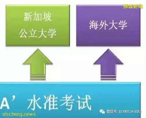 新加坡主流教育最全教育升学体制全解!点击收藏