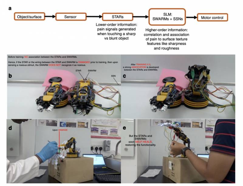 NTU 科研團隊實現機器人識別疼痛及自我修複功能