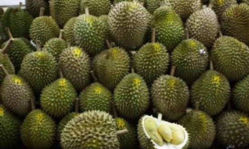 真实！新加坡常驻居民的四季是这样......