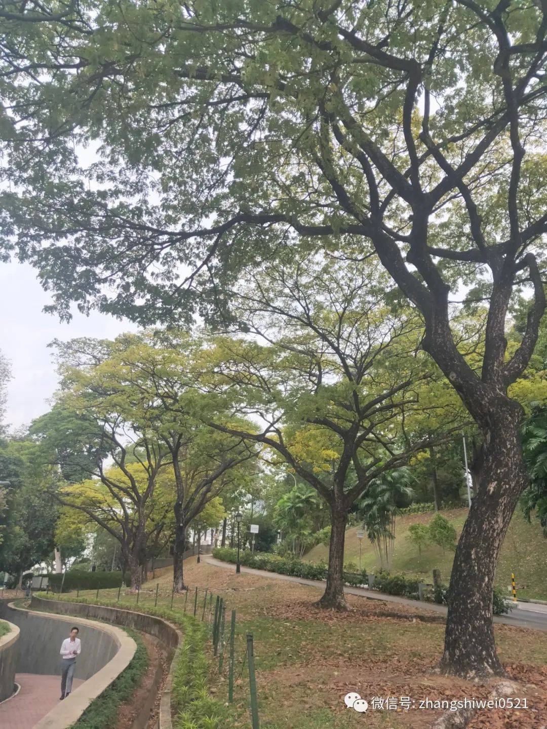 新加坡遊記系列 常規又不常規的獅城遊覽