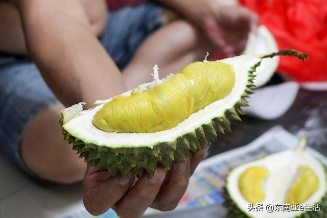 去新加坡遊玩,這11件事你一定要知道