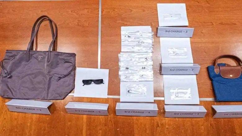 政府高度關注!新加坡廖文良女傭案,又有一波人上法庭