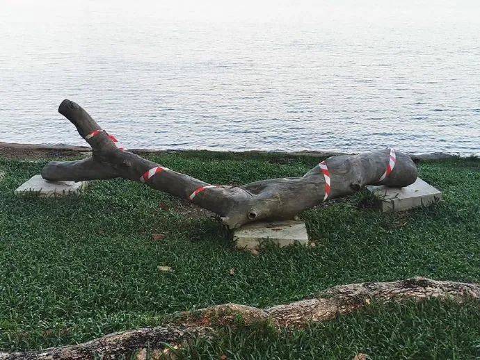 新加坡用膠帶做了一場大型公共藝術